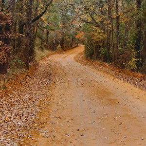Back Roads (Freestyle)