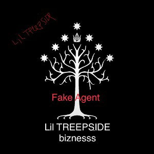 Lil Treepside - Fake