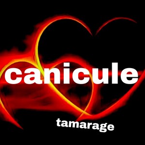 canicule 