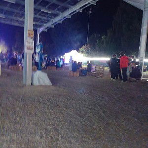 festival 2