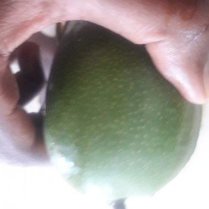 Lil Bigga African 