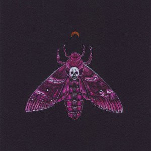 Nood3l - Death Rose - 🌹 💀 