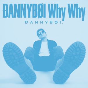 ÐANNYBØI Why Why (Nightcore)