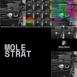 mole strat