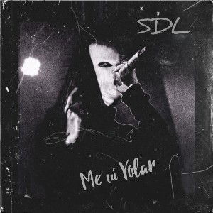 #sdl. #MeVíVolar