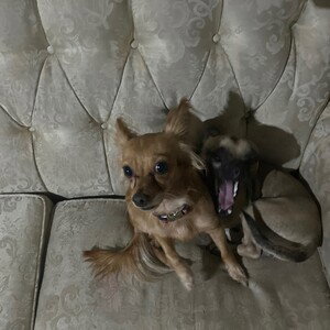 Jiello y Diego