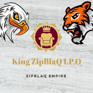 ZipBlaQ_IPO  D_day 