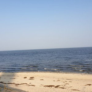 fuck rap fame niggaz