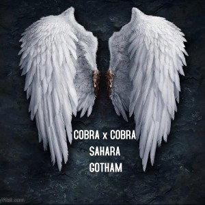 COBRA x COBRA _GOTHAMprod_ -_-SAHARA-_-2023