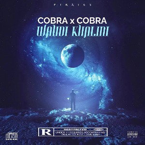 COBRA x COBRA (PIRATES)_WAHDI KHALINI_2024_2