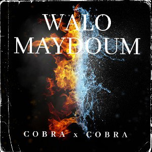 COBRA x COBRA _(PIRATES)__WALO MAYDOUM_2026