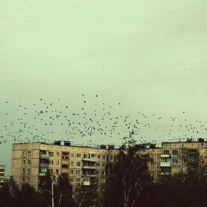 Redlight рэп самопальный