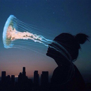 MoonDance высоко