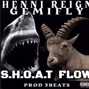 SHOATFlow