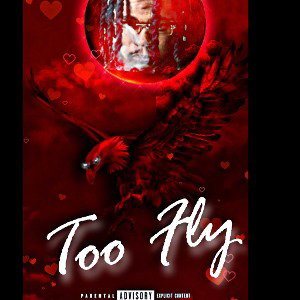 TooFly