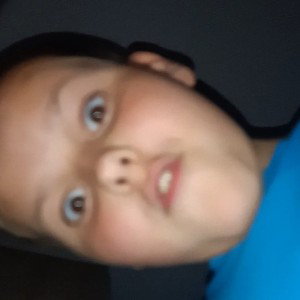 sylwek back