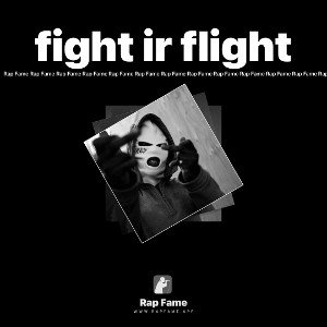 fight or flight 