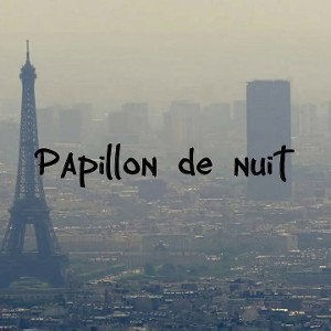 Papillon de nuit