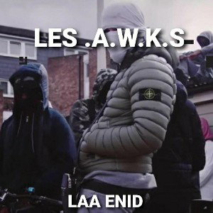 LES .A.W.K.S.