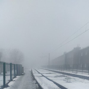 Белый снег