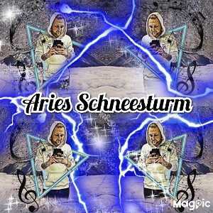 ❄Aries Schneesturm❄