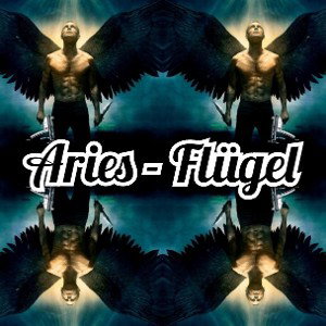 ⭐Aries-Flügel⭐