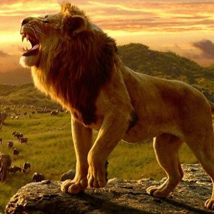 ⭐ Aries ⭐ Mufasa ⭐