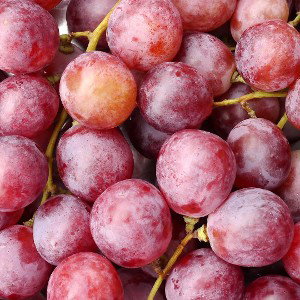 Fruit 