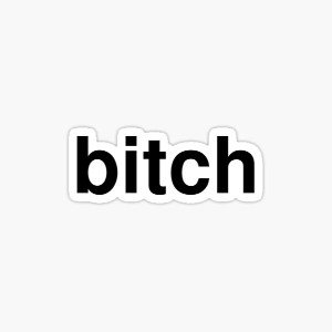 You A Bitch