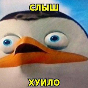 раздрожает