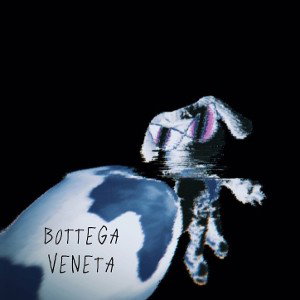 BOTTEGA-VENETA (prod. feli66)