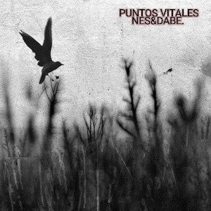 PUNTOS VITALES -NES&DABE