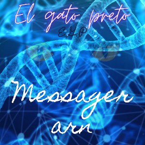 messager arn