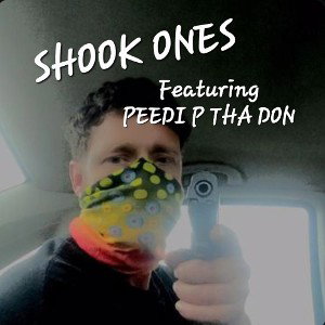 SHOOK ONES 