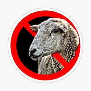 I don't follow u sheep