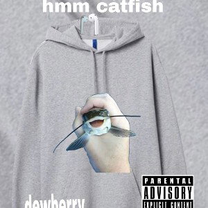 hmm catfish 