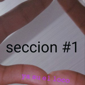 sección #1 yasu el loco