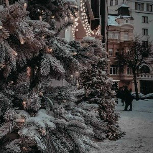Зима волшебница 