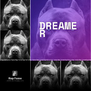 Dreamer