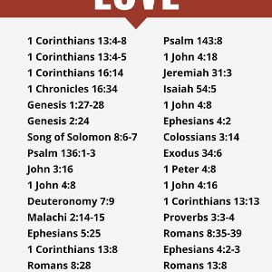 Levels Of Love  (SamSeeD)