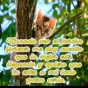 amor por dentro de uno mismo 