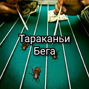 Тараканьи бега