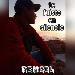 te fuiste en silencio _PeMCil