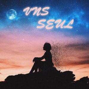 VNS - Seul 