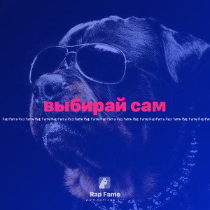 выбирай сам