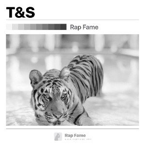 T&S