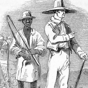 Plantation blues (Twin Immortal diss)