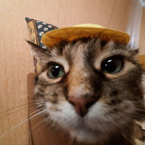 пон.