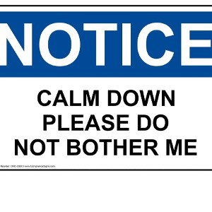 bitch don't bother me