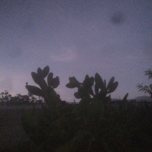 FAZA (07:10)